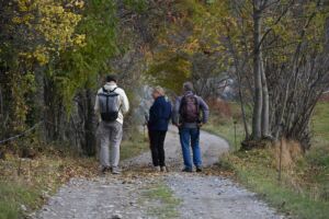 bewegen-wandelen-weightworks